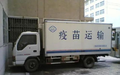 市场规模超4000亿,生鲜电商加速冷链物流扩张,发展前景如何