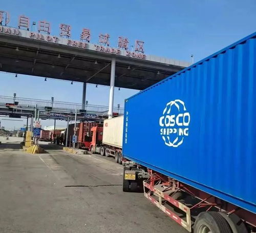 外高桥保税区 承接全国近七成进口血透产品，物流企业构筑生命通道